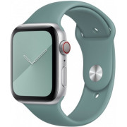 Силіконовий ремінець Silicone Sport Band (38mm, 40mm, 41mm, [42mm Series 10/11], №61 Cactus, S)