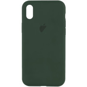 Чохол Silicone Case iPhone XR FULL (№70 Cyprus green)