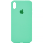 Чохол Silicone Case на iPhone X/Xs FULL (№50 Spearmint)