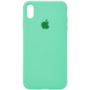 Чохол Silicone Case на iPhone X/Xs FULL (№50 Spearmint)