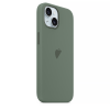 Чохол для iPhone 15 : Silicone Case MagSafe Original – Cypress