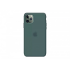 Чохол Silicone Case на iPhone 11 Pro FULL (Pine Green)