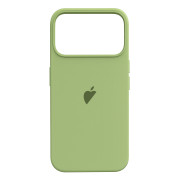 Чохол для iPhone 17 Pro Max – Silicone Case Full (№64 Avocado)