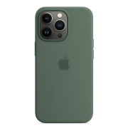 Чохол для iPhone 13 Pro : Silicone Case MagSafe Original – Eucalyptus
