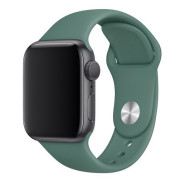 Силіконовий ремінець Silicone Sport Band (38mm, 40mm, 41mm, [42mm Series 10/11], Pine Green, S)