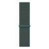 Ремінець для Apple Watch Nylon Loop нейлоновий (38mm, 40mm, 41mm, [42mm Series 10/11], Pine Green)