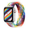 Монобраслет на Apple Watch Braided Solo Loop (Rainbow, 38mm, 40mm, 41mm, [42mm Series 10/11], S)